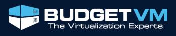 BudgetVM优惠码2020,BudgetVM官网任意订单立减10%优惠码