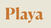 Playa Products官网优惠券,Playa Products官网任意订单立减10%优惠码