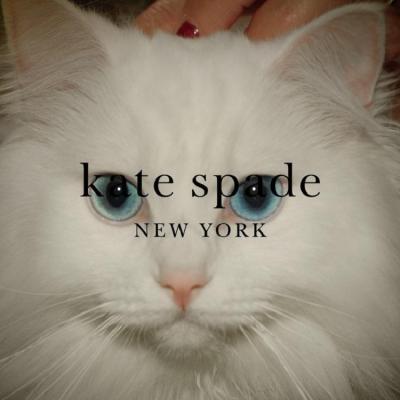 【2020黑五预热】kate spade 美国官网：精选时尚服饰鞋包 享5折