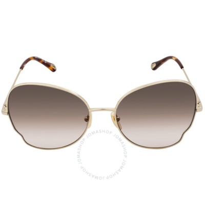 Chloe 59mm 女士太阳镜<br />       3.9折 $140.69（约1019元）