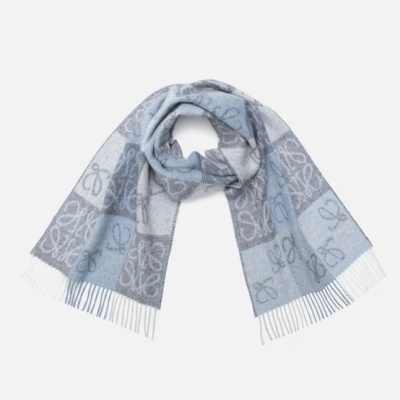 LOEWE 罗意威蓝色徽标格纹围巾<br />       6.1折 $395（约2844.59元）